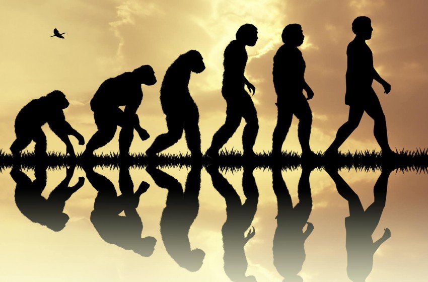 Et si le récit évolutif des hominidés était faux ?