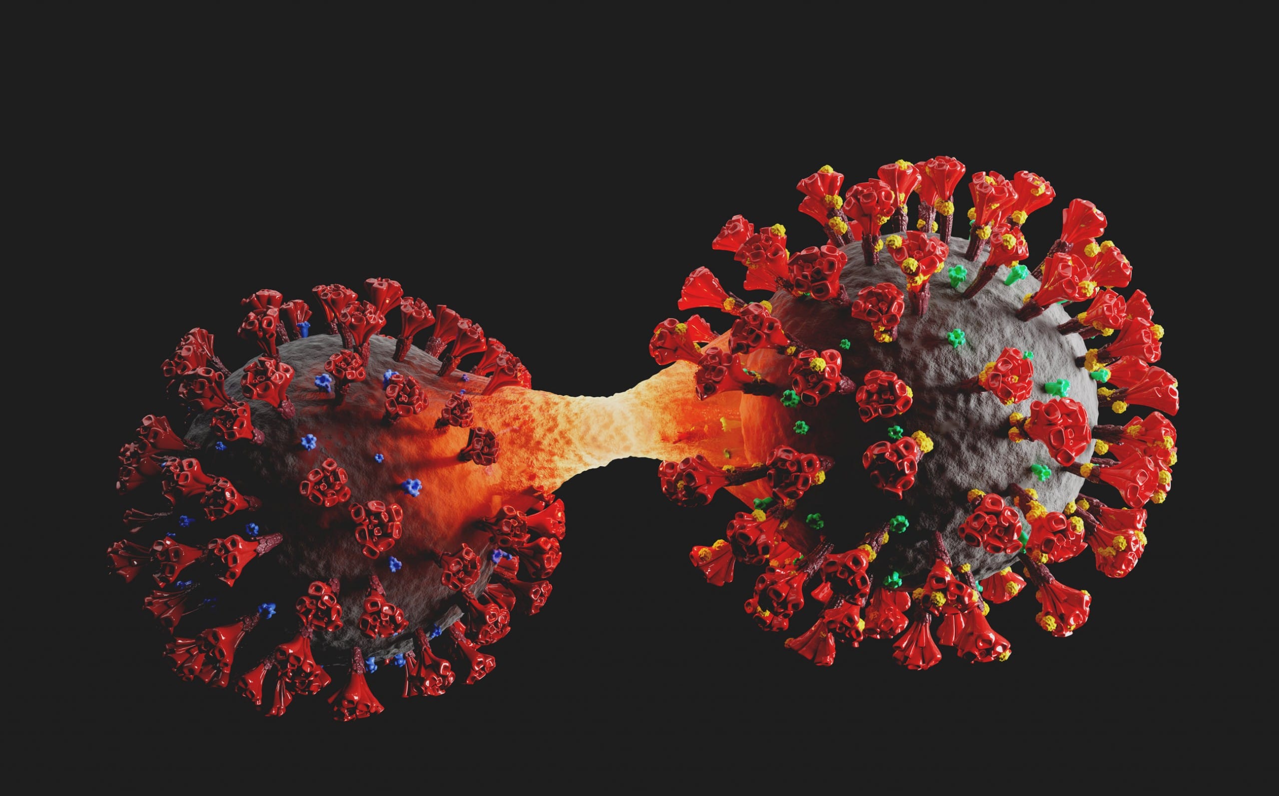 Mutation Coronavirus Covid-19