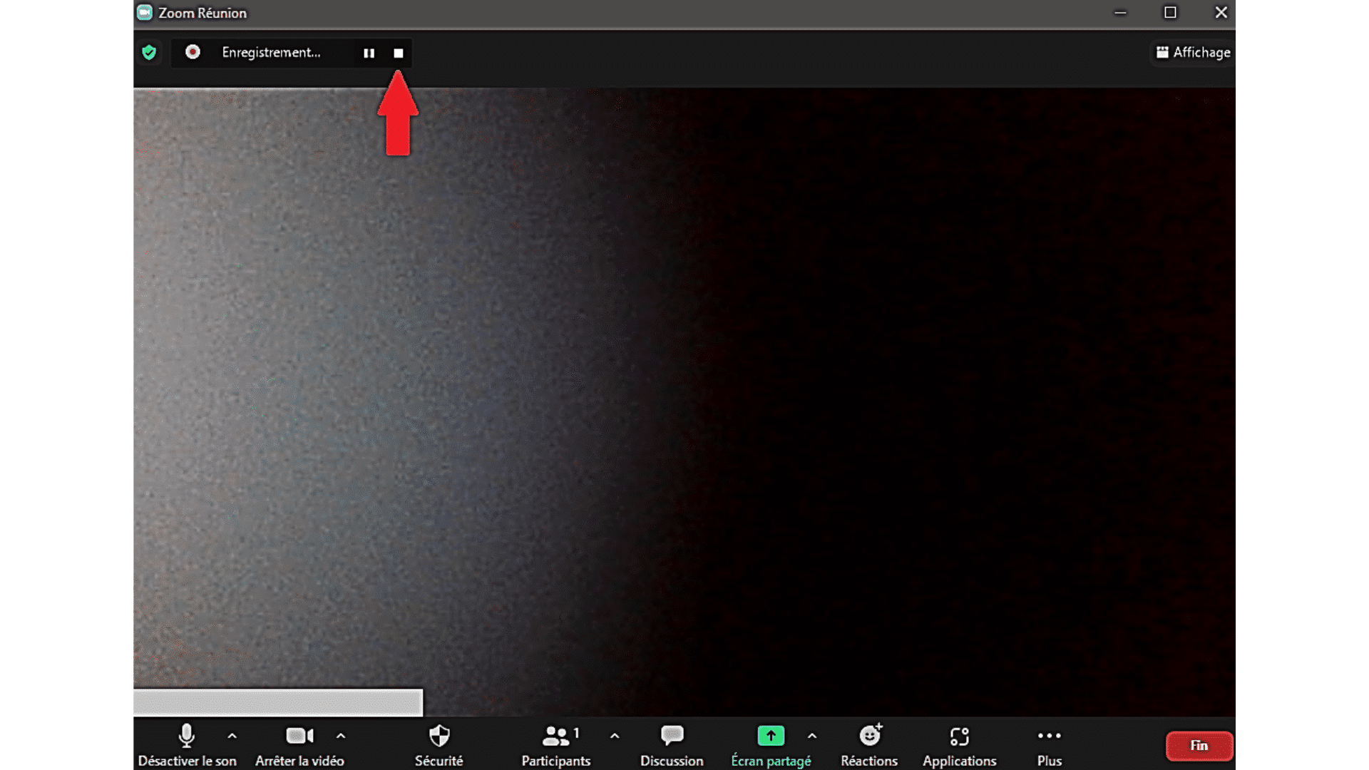 Application-Stop-Zoom-PC