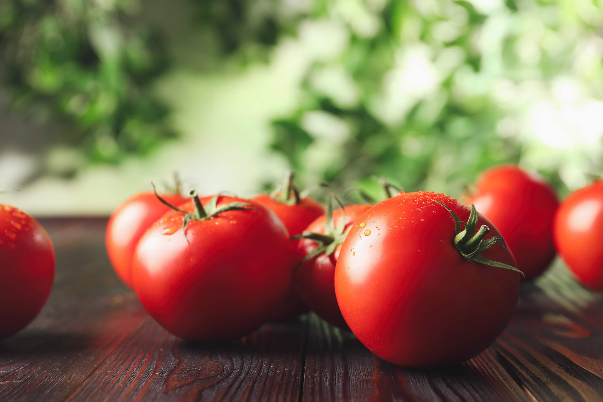 Des tomates bien mûres