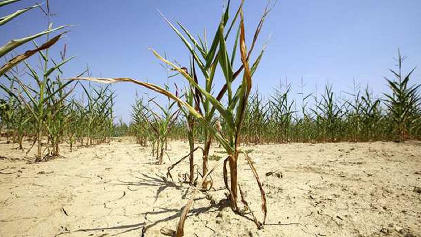 Concept de l'impact du changement climatique sur le régime alimentaire.