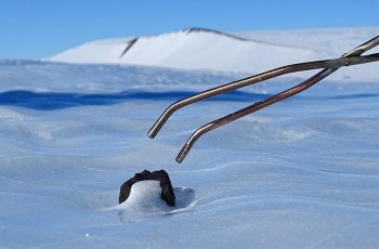 Météorite découverte en Antarctique