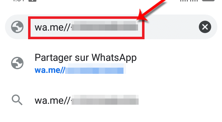 Seizure_of_the_chat_WhatsApp_code – © Credit: fredzone.org