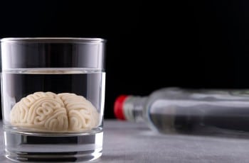 la consommation d alcool fait retrecir le cerveau humain