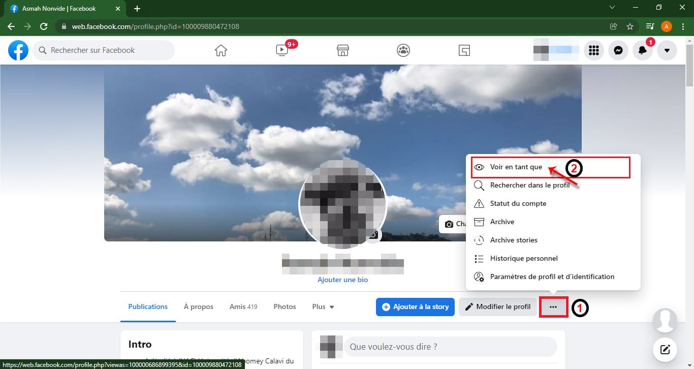 Voir_profil_comme_visiteur – © Crédit : fredzone.org