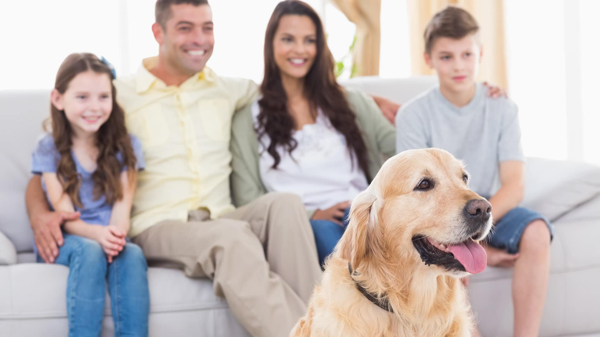 Une famille avec son chien devant la télé