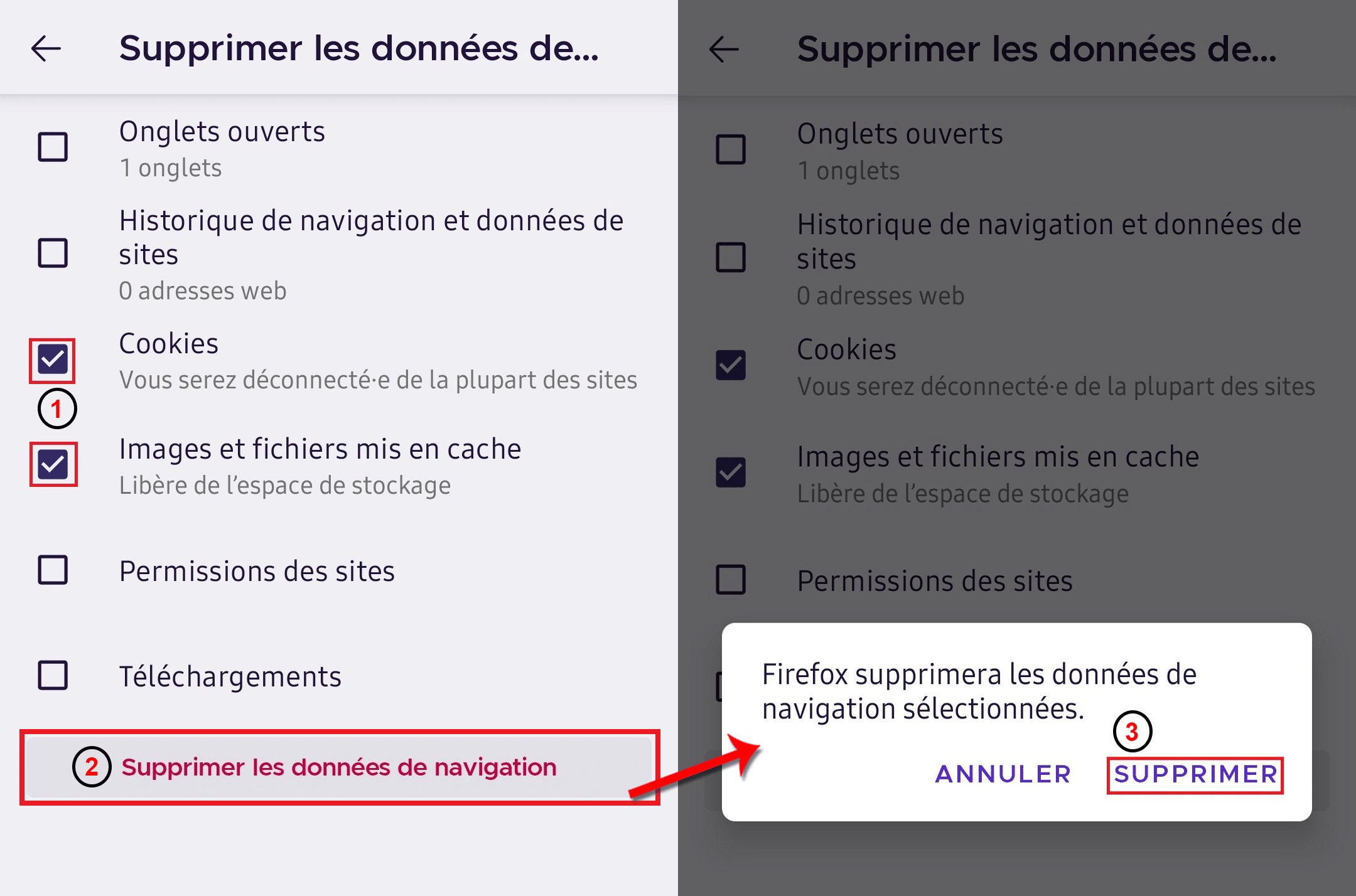 Suppression_des_données_de_navigation – © Crédit : fredzone.org