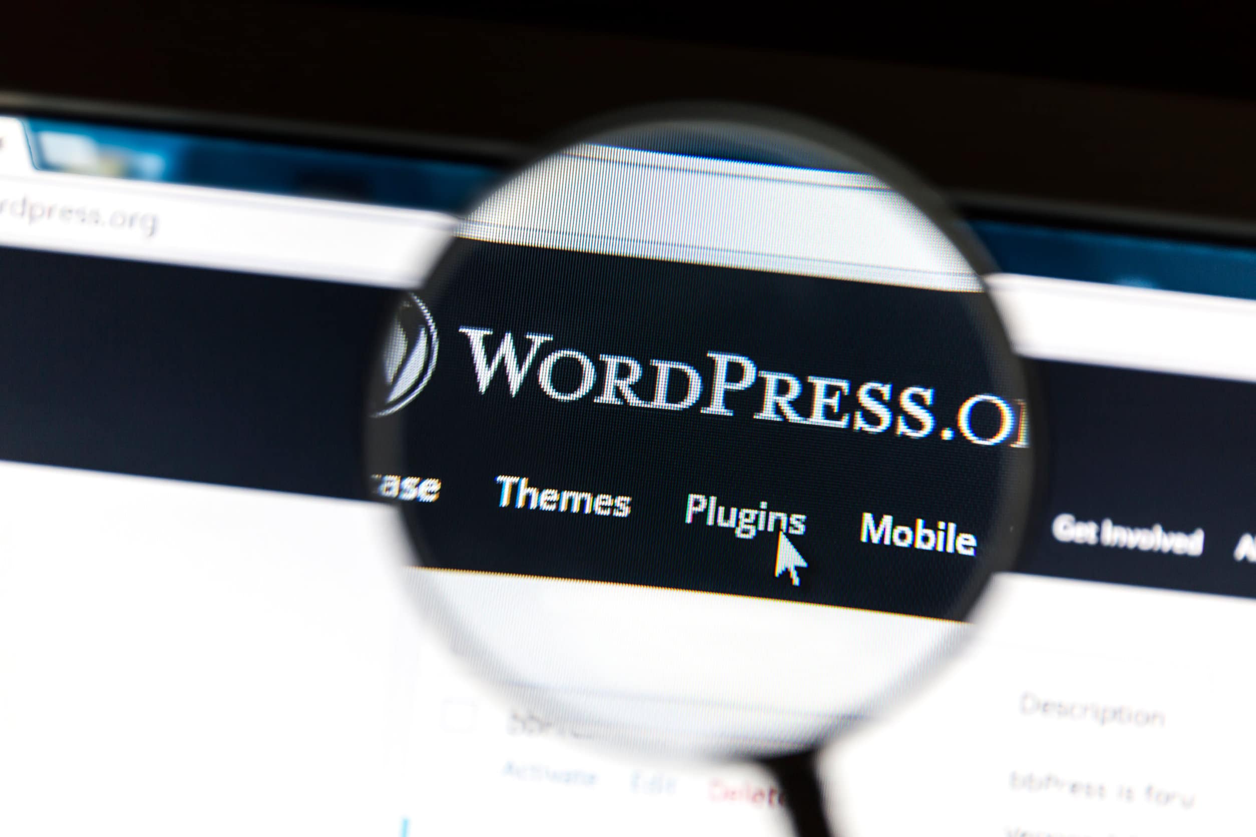 WordPress 6.0