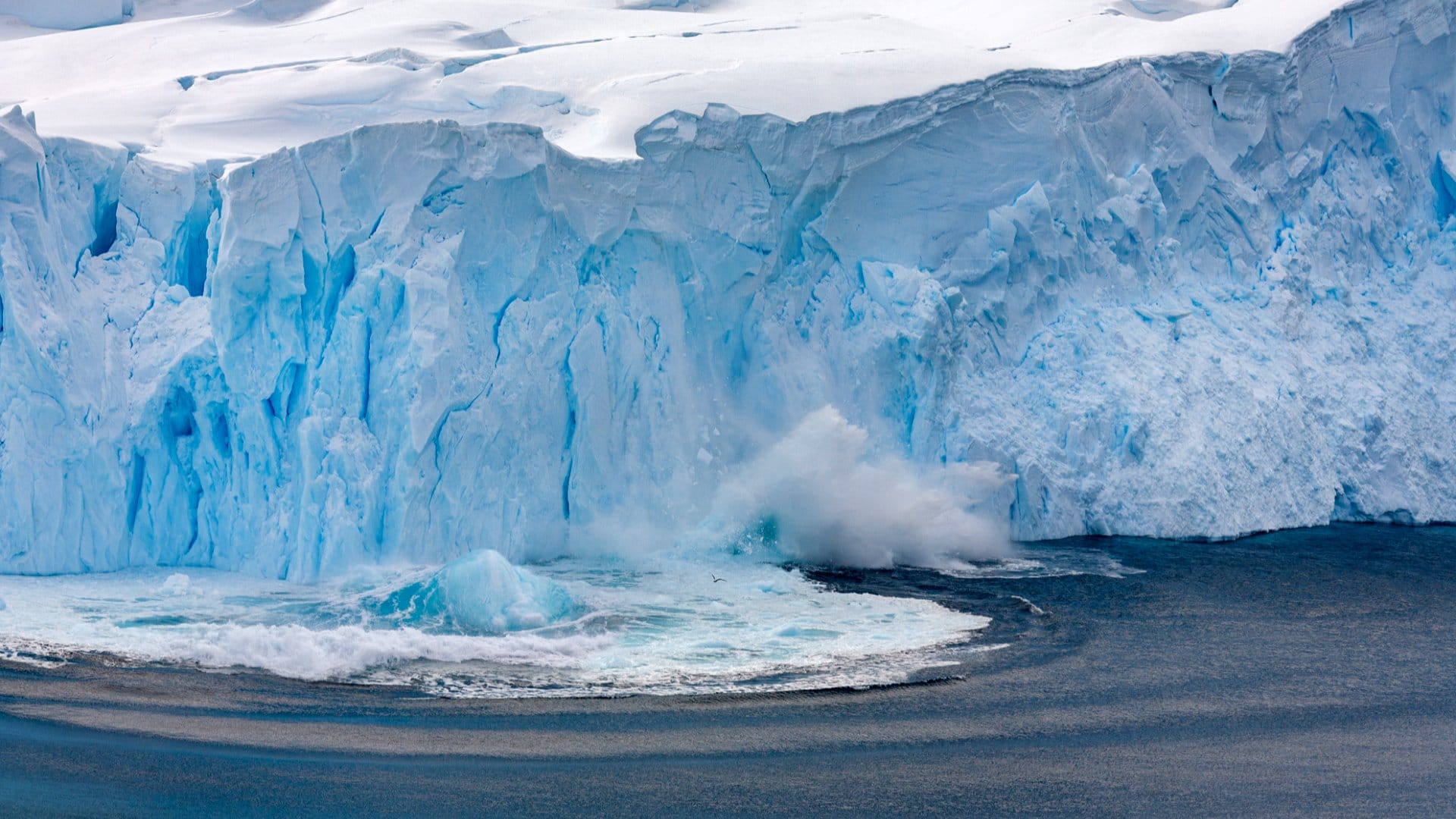 Une falaise de glace qui se brise dans la mer.