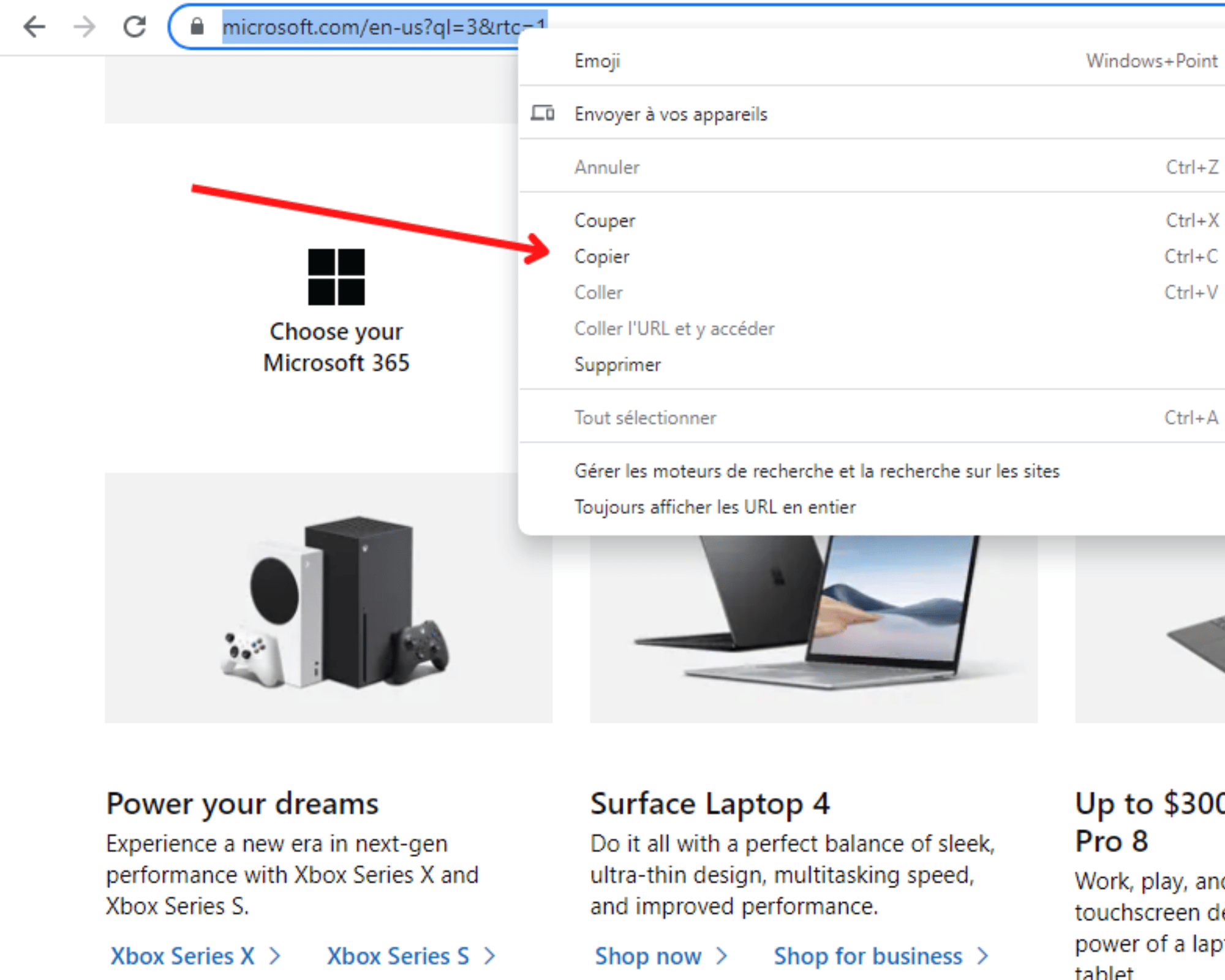 Web-Page-Copy