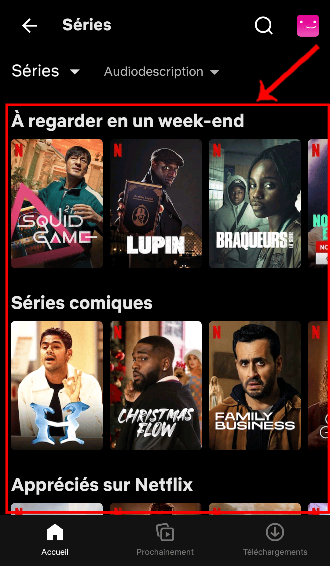 Choix_programme_audiodescription – © Crédit : fredzone.org