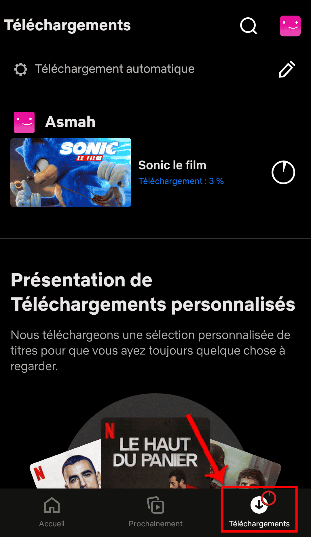 Onglet_téléchargements – © Crédit : fredzone.org
