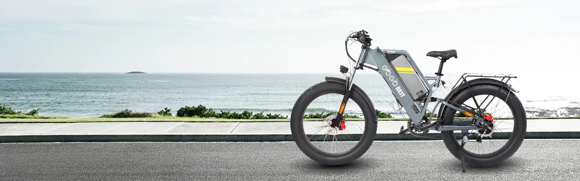 electric mountain bike
