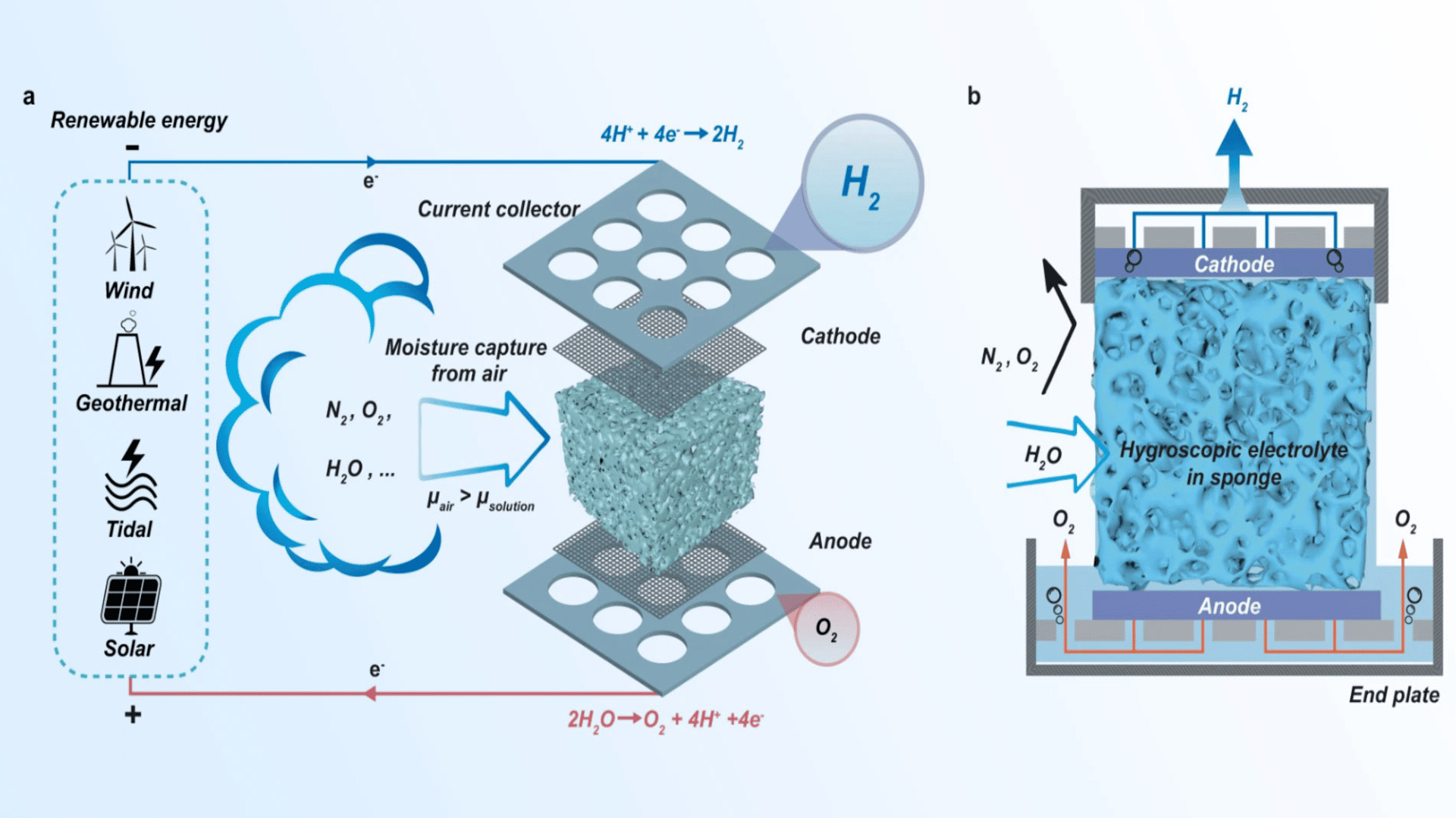 Schéma du module d'électrolyse directe de l'air et de sa section transversale.