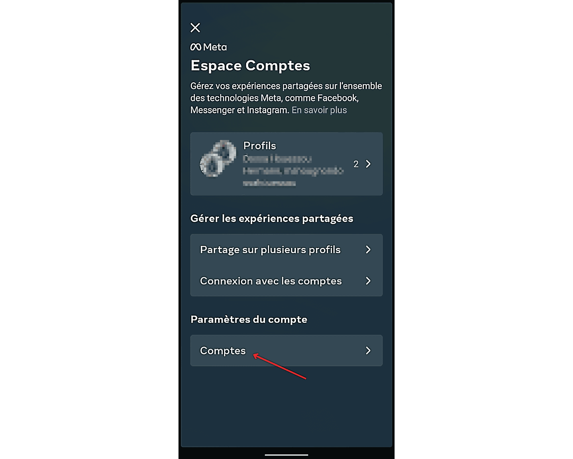 Délier-Facebook-et-Instagram-Détails