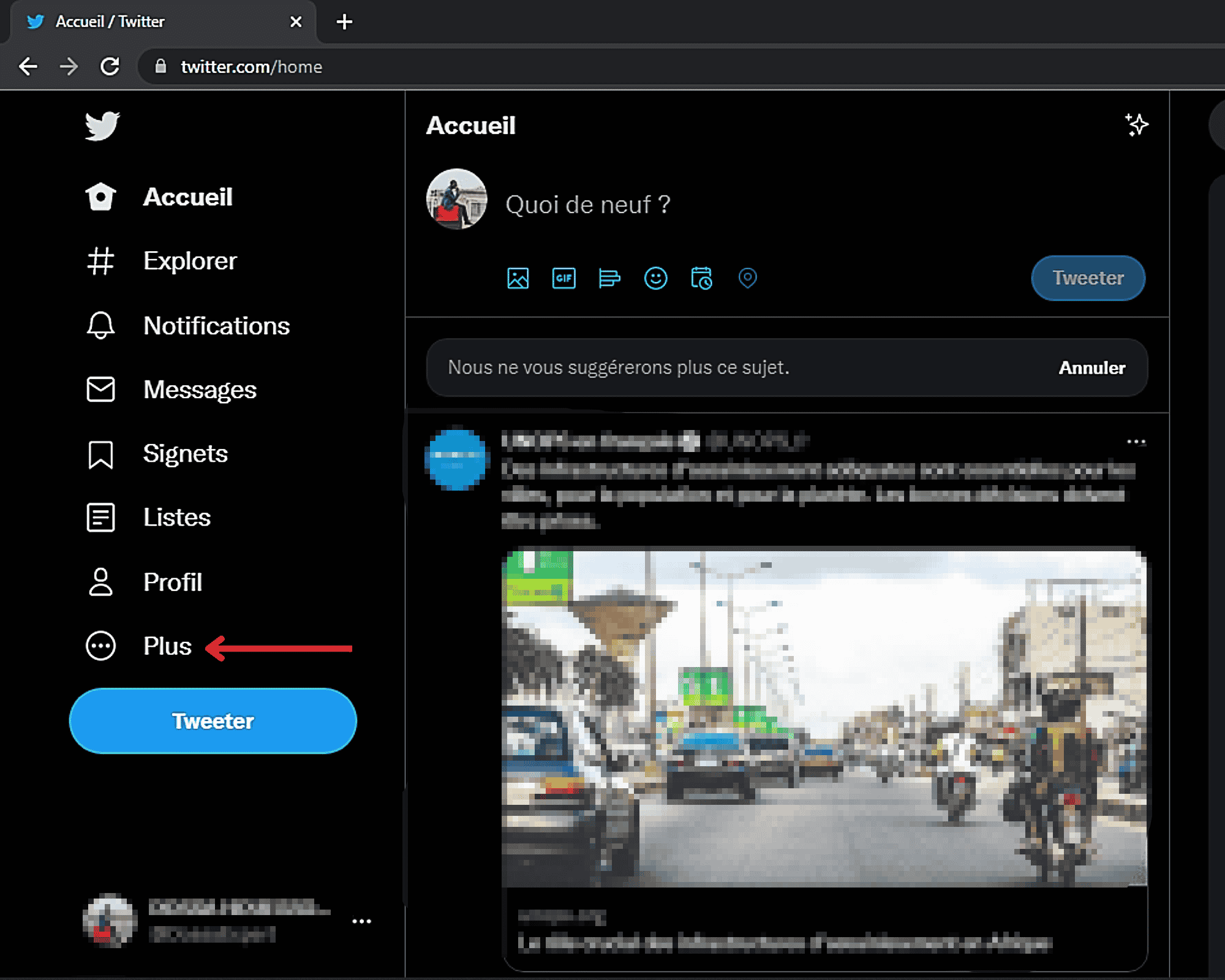 Télécharger-Tous-Vos-Tweets-Plus
