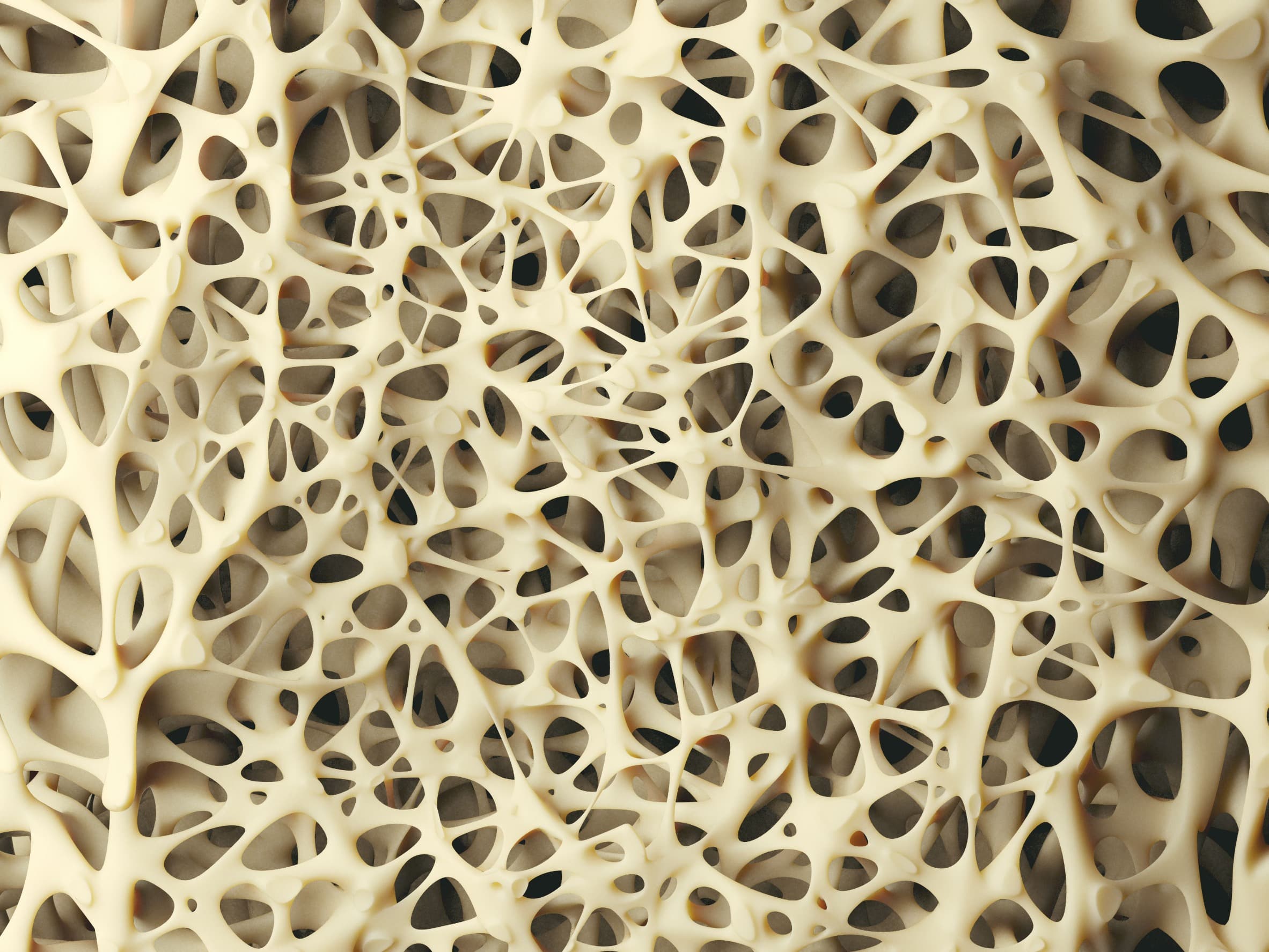 Structure osseuse