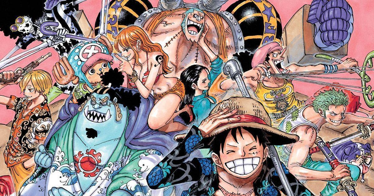 one-piece-cover