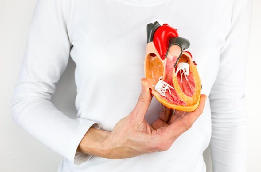 Ce biomatériau permet de soigner les tissus cardiaques en passant par les vaisseaux sanguins