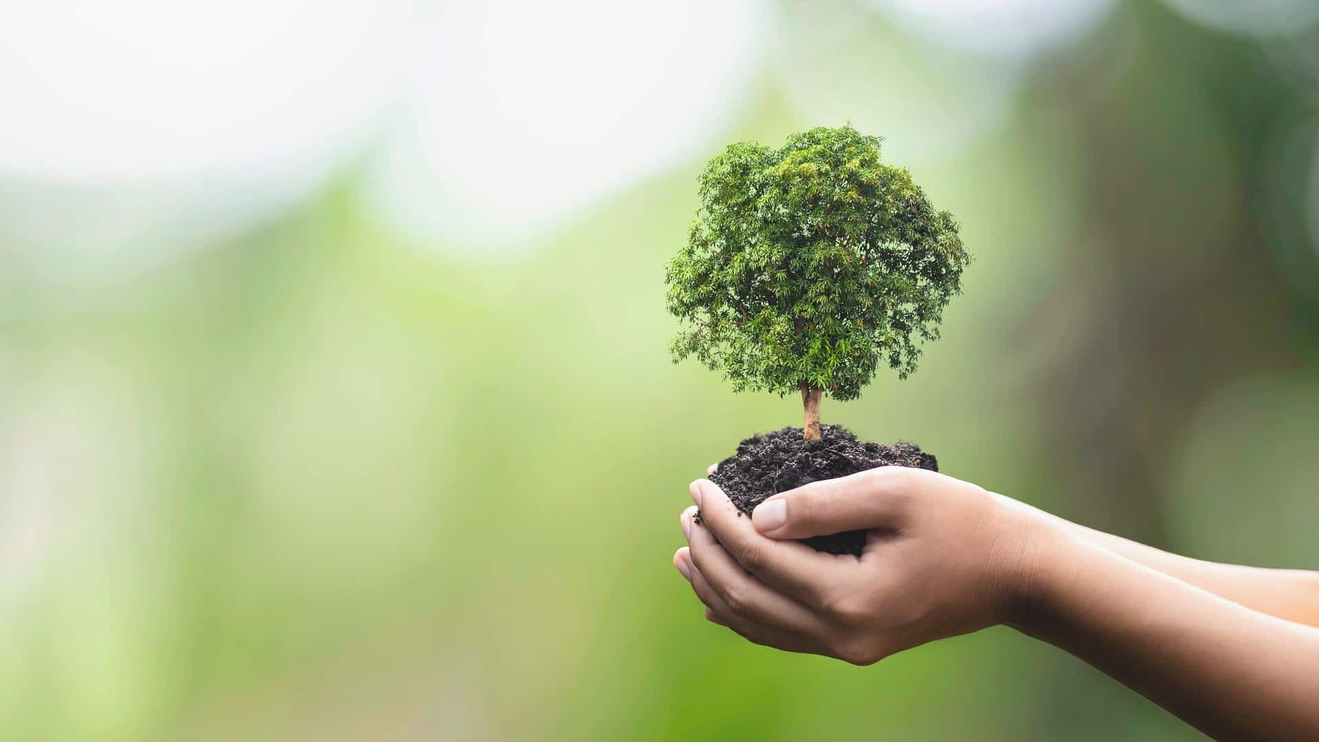 Concept d'écologie et de respect de l'environnement.