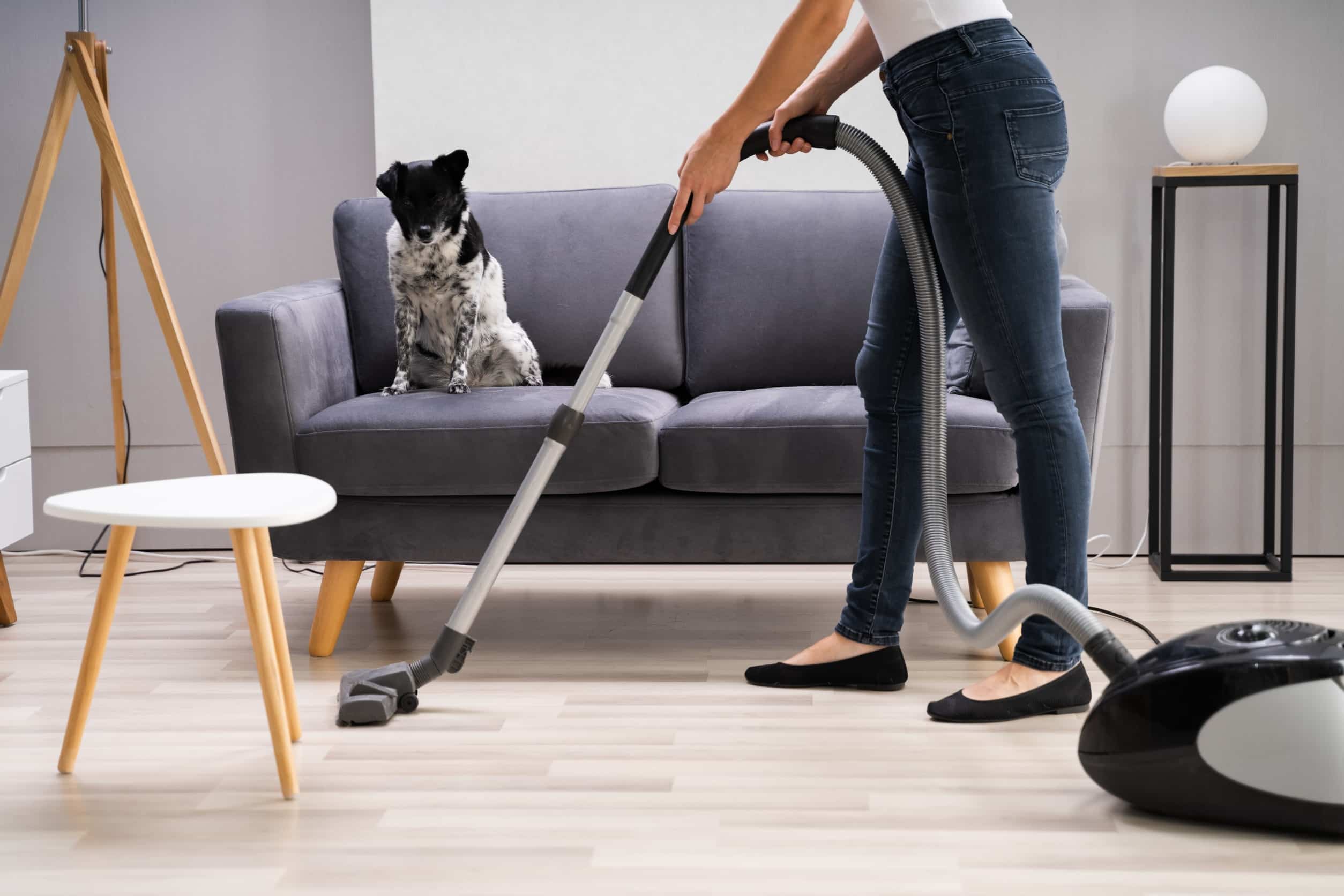 Aspirateur Philips