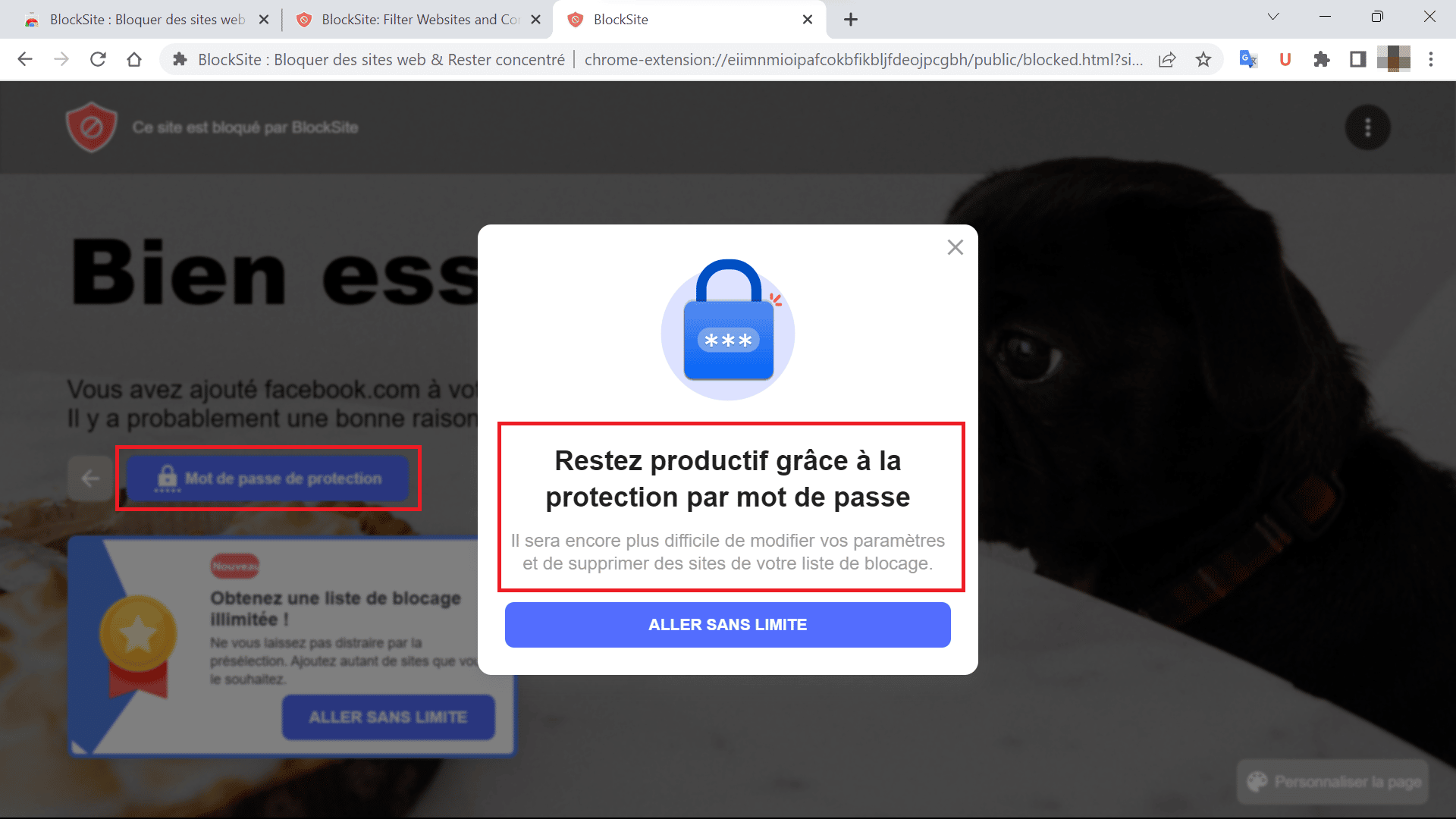 Mot de passe de protection - Crédit : fredzone.org