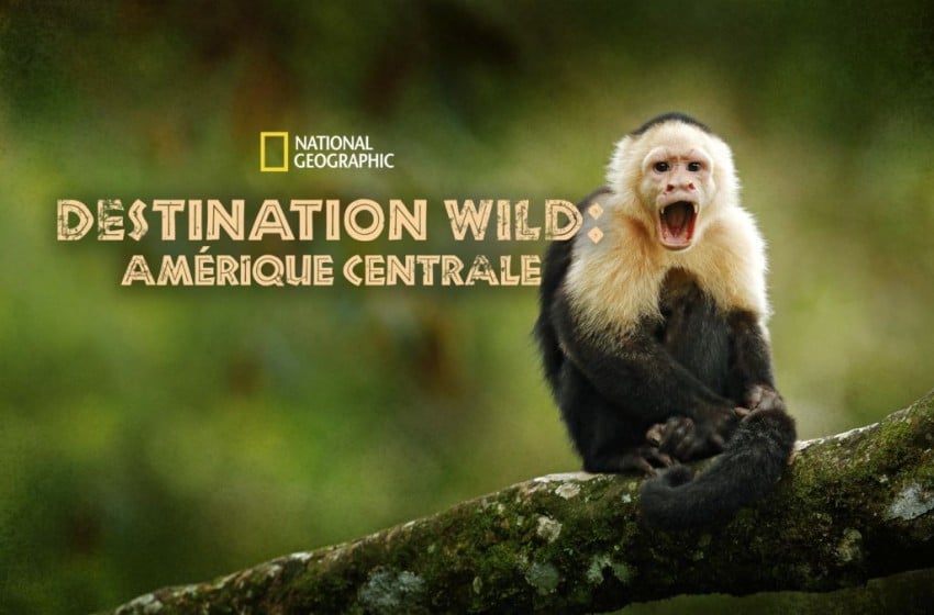 Destination Wild : Amérique Centrale, un documentaire à voir sur Disney+ dès le 8 Février 2023