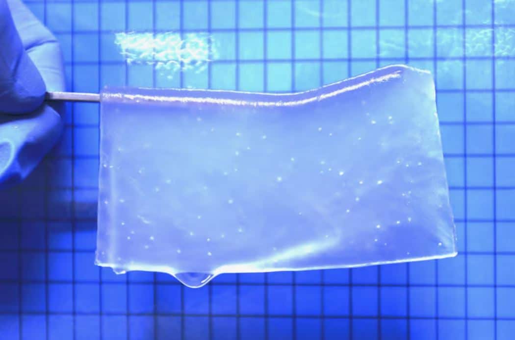 Hydrogel chargé électriquement