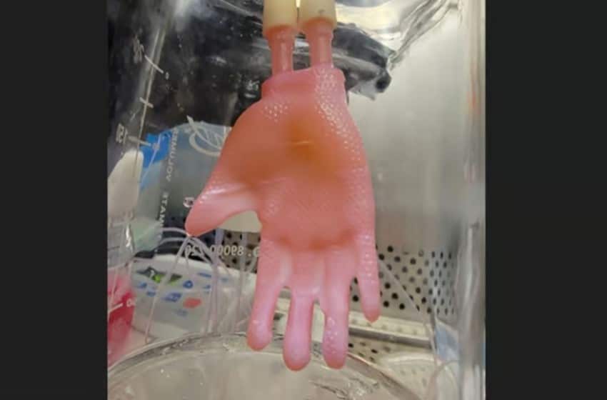 Cette nouvelle technique permet de cultiver en 3D des greffons de peau à appliquer comme des vêtements