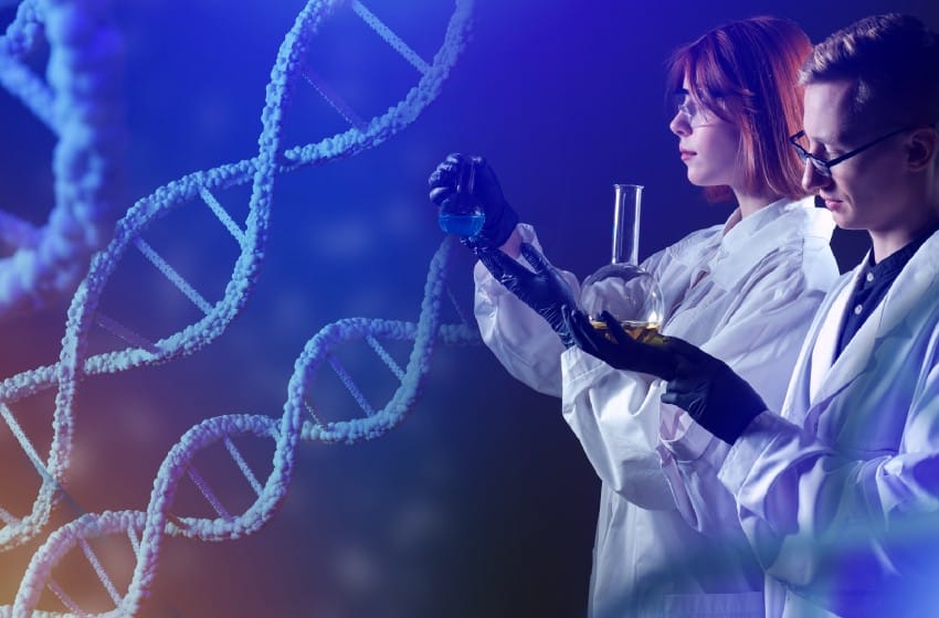 Chaque cellule possèderait 3 minuteries indépendantes selon cette étude