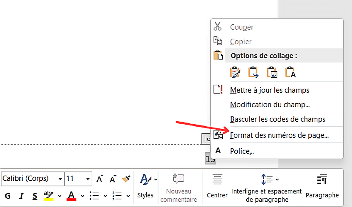 Microsoft-Word-Saut-Page-Format