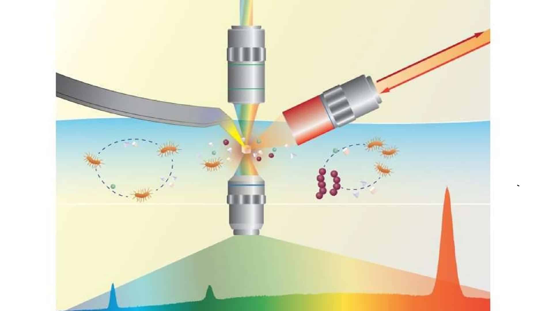 Illustration du mode de fonctionnement du bioimageur BIGTUNA.