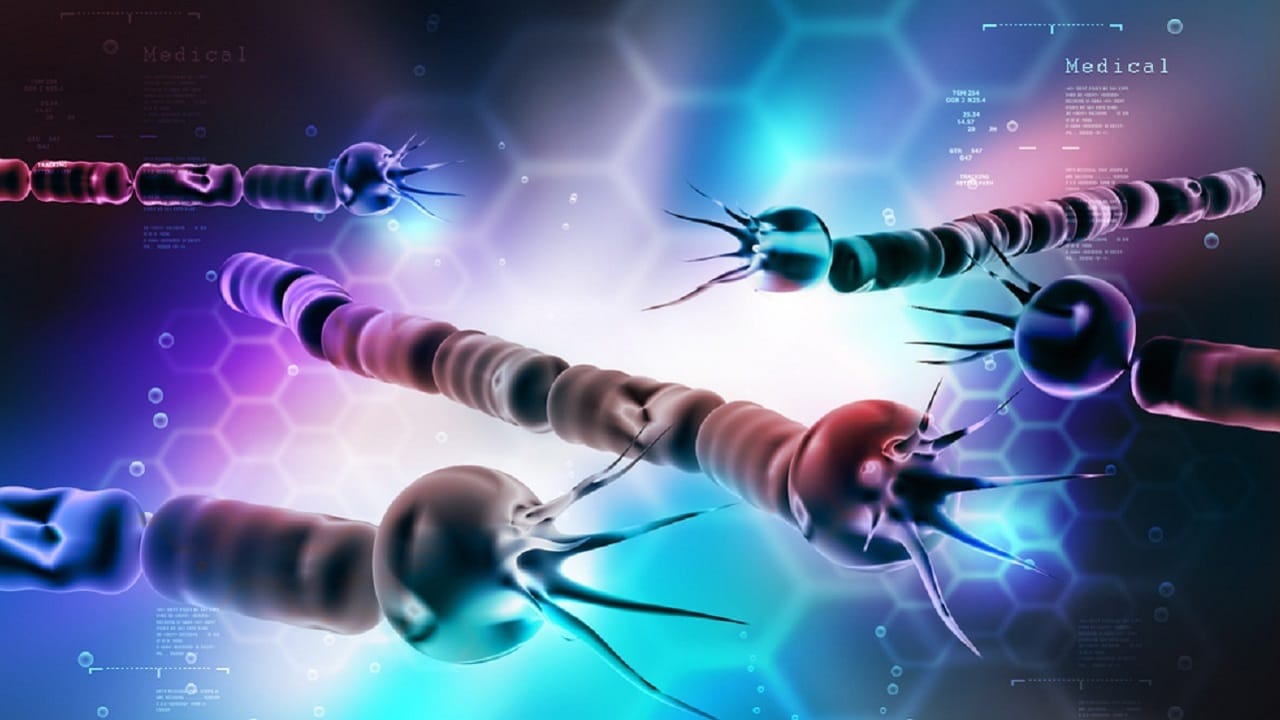 Des microbes qui s'envoient des messages entre eux