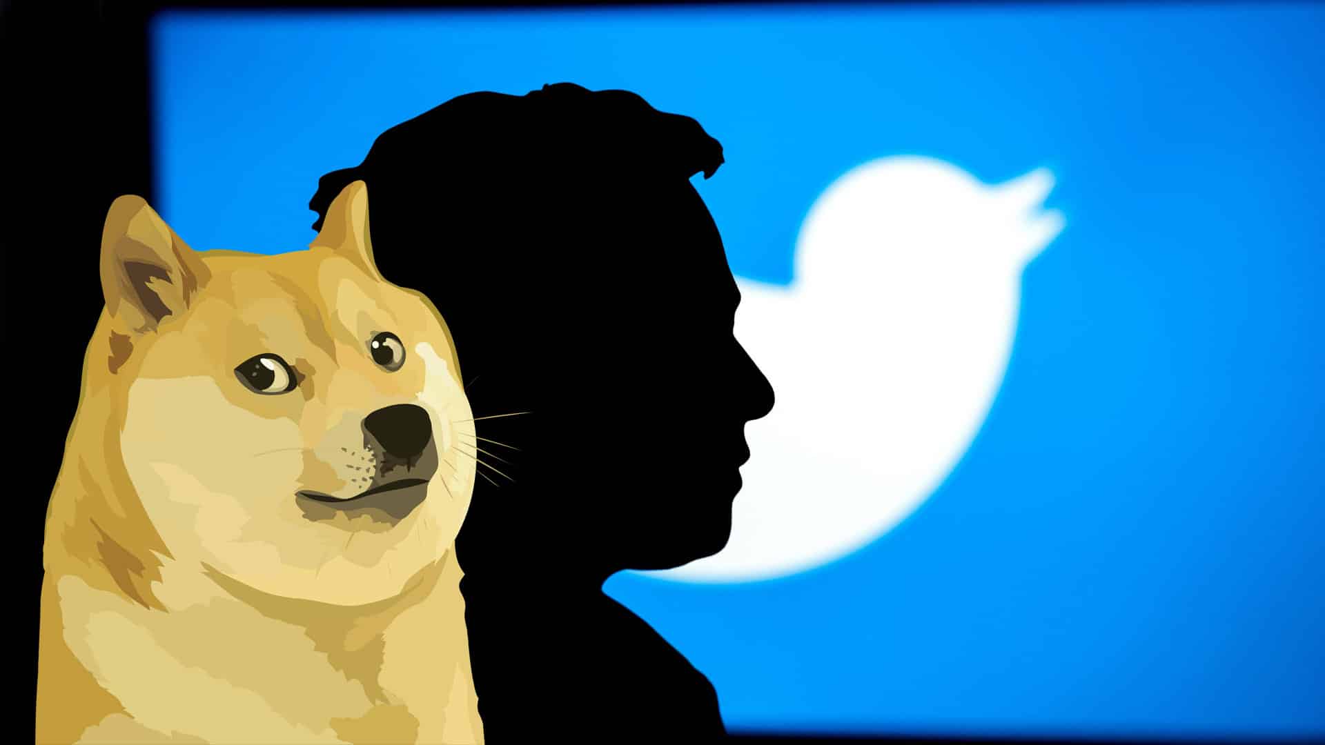 Twitter : le logo de l'application est remplacé par... un chien ! Crédit Twitter