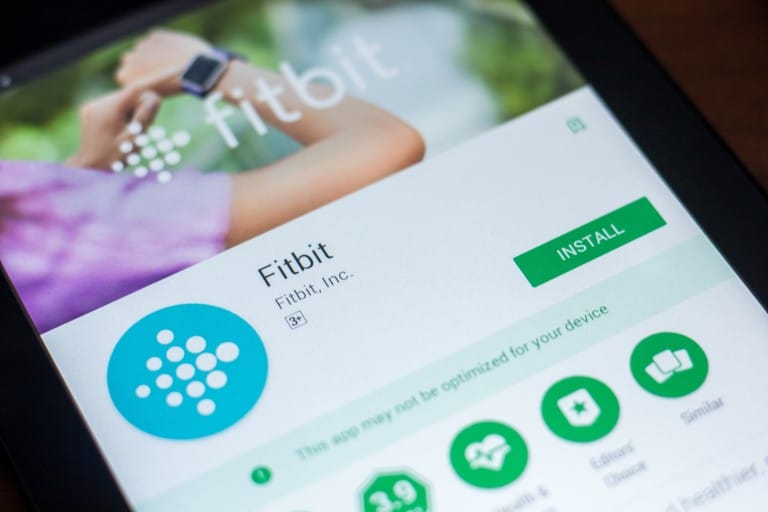 Fibit