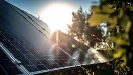 Gros plan sur un panneau solaire avec la lumière du soleil qui brille au-dessus des feuilles d'arbre.